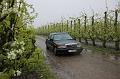 MG Bloesemrit op 24-4-2016 org. Jos&Marie-lou  (111)